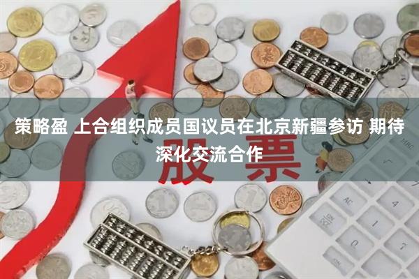 策略盈 上合组织成员国议员在北京新疆参访 期待深化交流合作