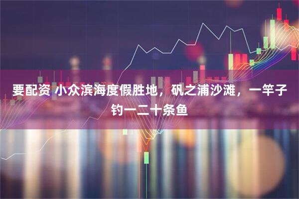 要配资 小众滨海度假胜地，矾之浦沙滩，一竿子钓一二十条鱼