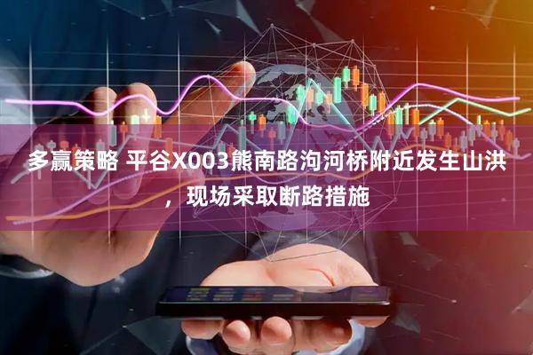 多赢策略 平谷X003熊南路泃河桥附近发生山洪，现场采取断路措施