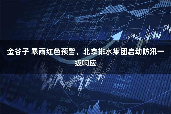 金谷子 暴雨红色预警，北京排水集团启动防汛一级响应