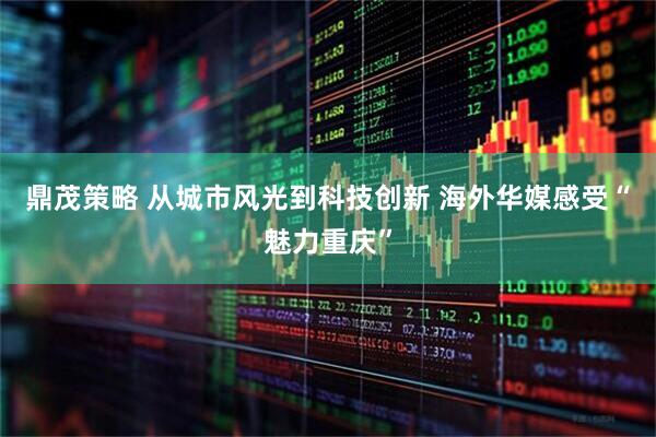 鼎茂策略 从城市风光到科技创新 海外华媒感受“魅力重庆”
