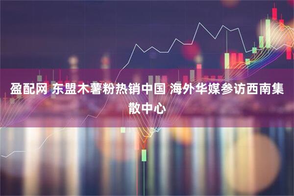 盈配网 东盟木薯粉热销中国 海外华媒参访西南集散中心