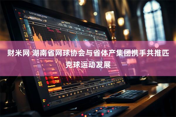 财米网 湖南省网球协会与省体产集团携手共推匹克球运动发展