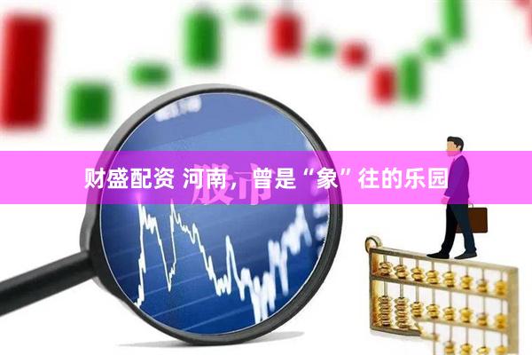 财盛配资 河南，曾是“象”往的乐园