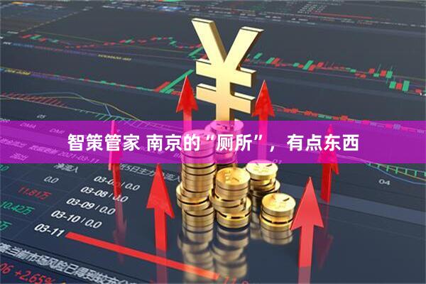 智策管家 南京的“厕所”，有点东西