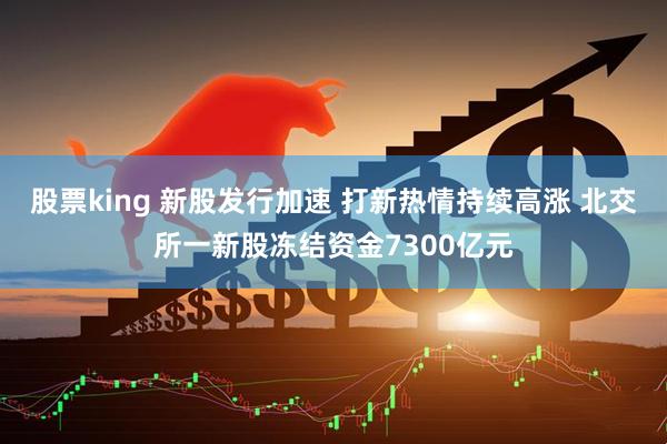 股票king 新股发行加速 打新热情持续高涨 北交所一新股冻结资金7300亿元