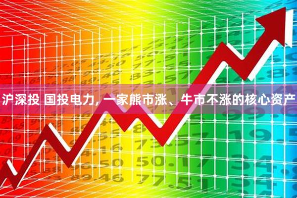 沪深投 国投电力, 一家熊市涨、牛市不涨的核心资产