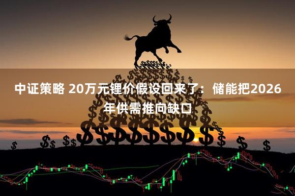 中证策略 20万元锂价假设回来了：储能把2026年供需推向缺口